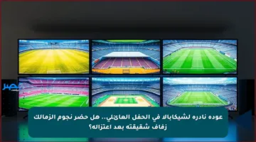 عودة نادرة لشيكابالا في الحفل العائلي.. هل حضر نجوم الزمالك زفاف شقيقته بعد اعتزاله؟